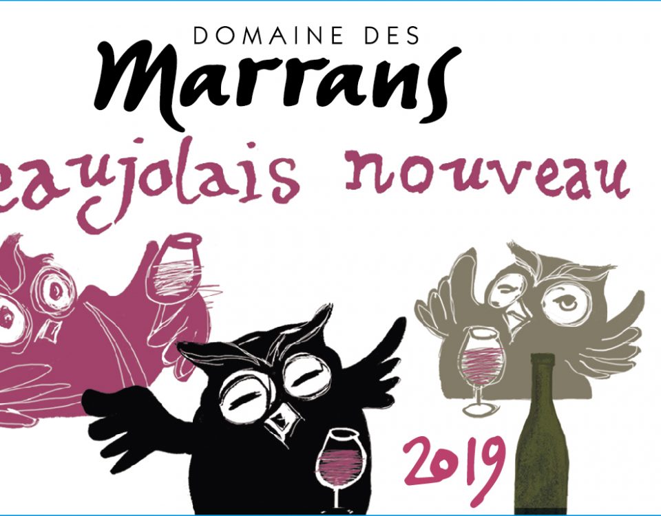 Domaine des Marrans - Beaujolais Nouveau 2019