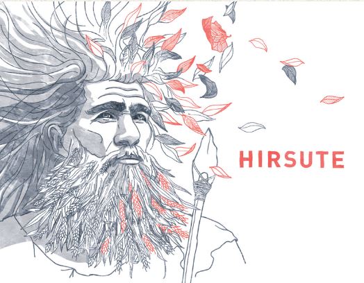 hirsute