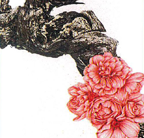 Alsace Rêveur Vigne en rose