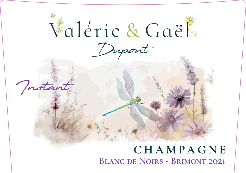 Champagne Instant Dupont