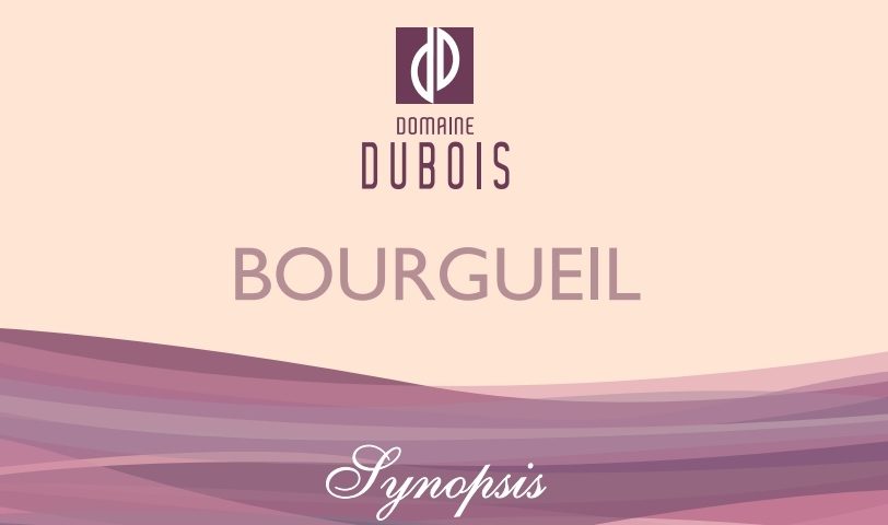Domaine Dubois - Bourgueil - Synopsis