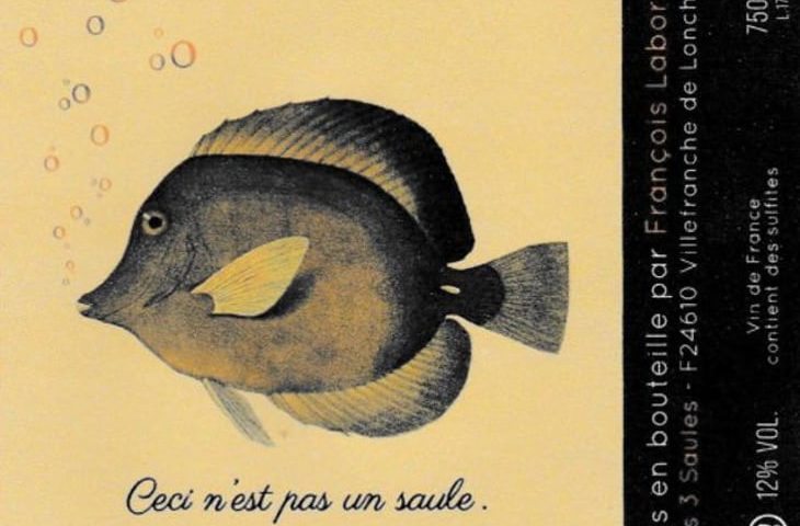 Domaine des 3 Saules - Périgord - Ceci n'est pas un Saule