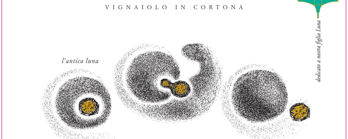 Stefano Amerighi - Italie