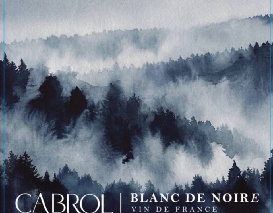 Vin de France - Cabrol - Blanc de Noir(e)